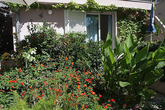 Beautiful environment, Apartments Silvana Makarska