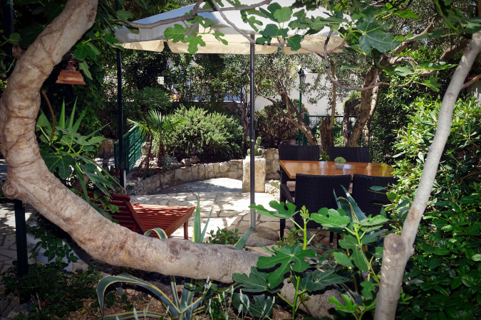 Beautiful environment, Apartments Silvana Makarska